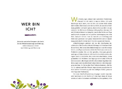 InsideView 2