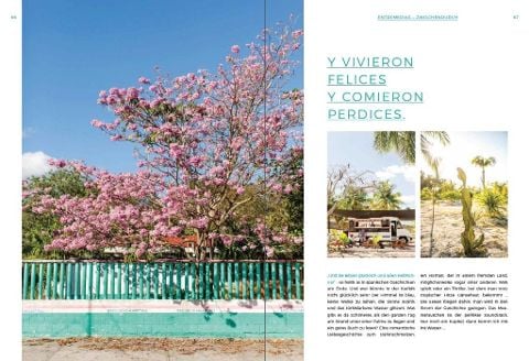InsideView 4