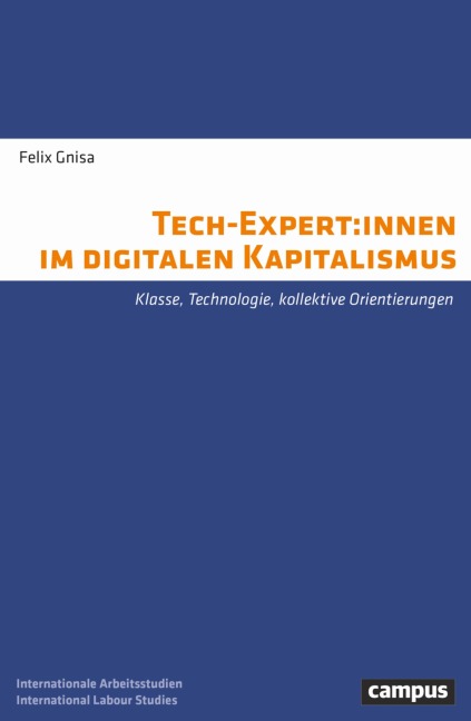 Tech-Expert:innen im digitalen Kapitalismus - Felix Gnisa