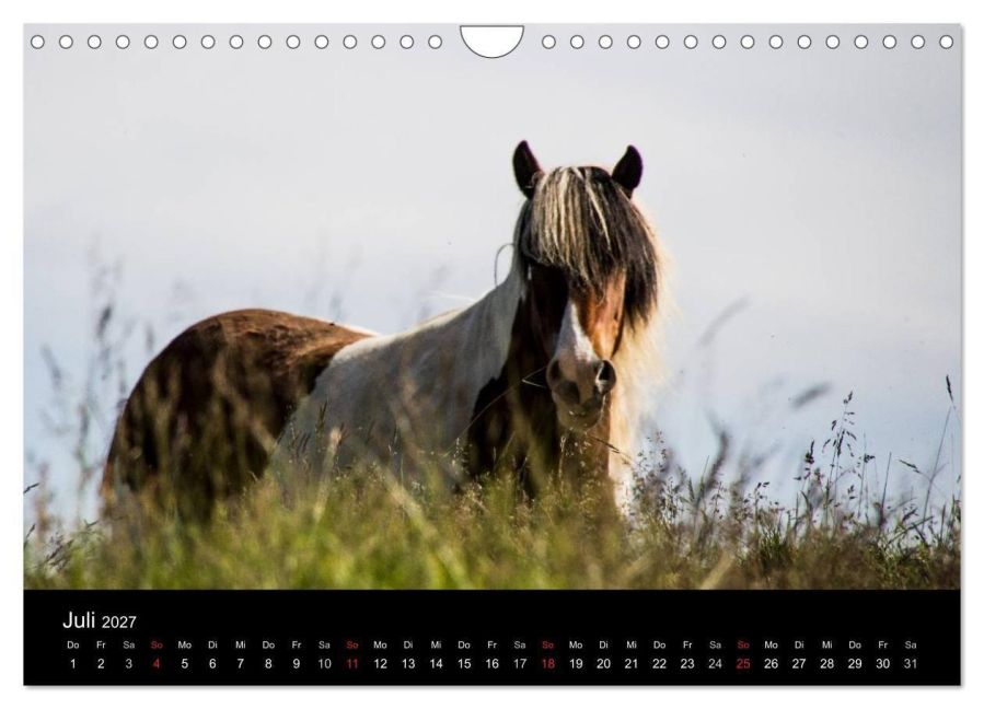 InsideView 12