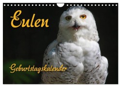 Cover-Bild zum Titel 'Eulen (Wandkalender 2026 DIN A4 quer), CALVENDO Monatskalender' von 'Pferdografen. De Antje Lindert-Rottke Martina Berg'
