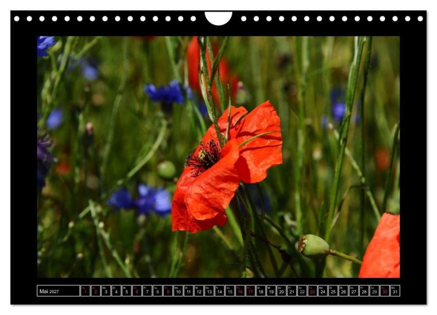 InsideView 10