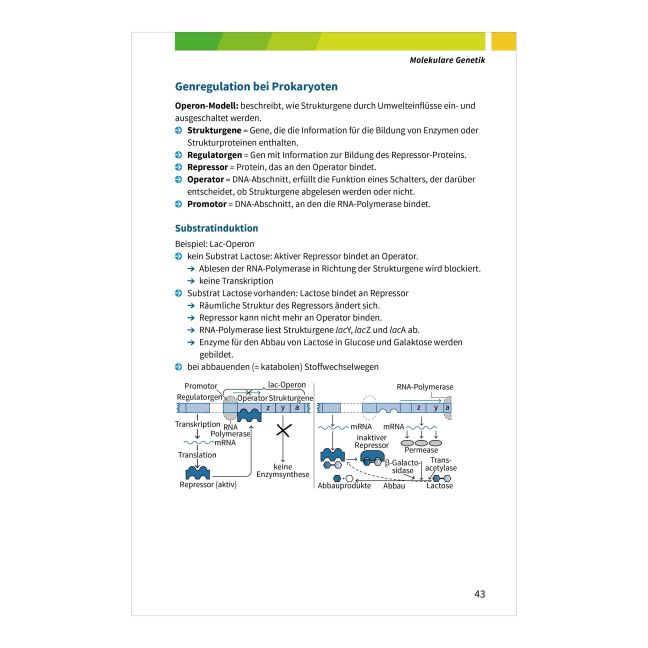 InsideView 10