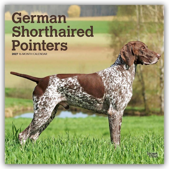 German Shorthaired Pointers - Deutsch Kurzhaar 2027 - 16-Monatskalender - Browntrout Publishers
