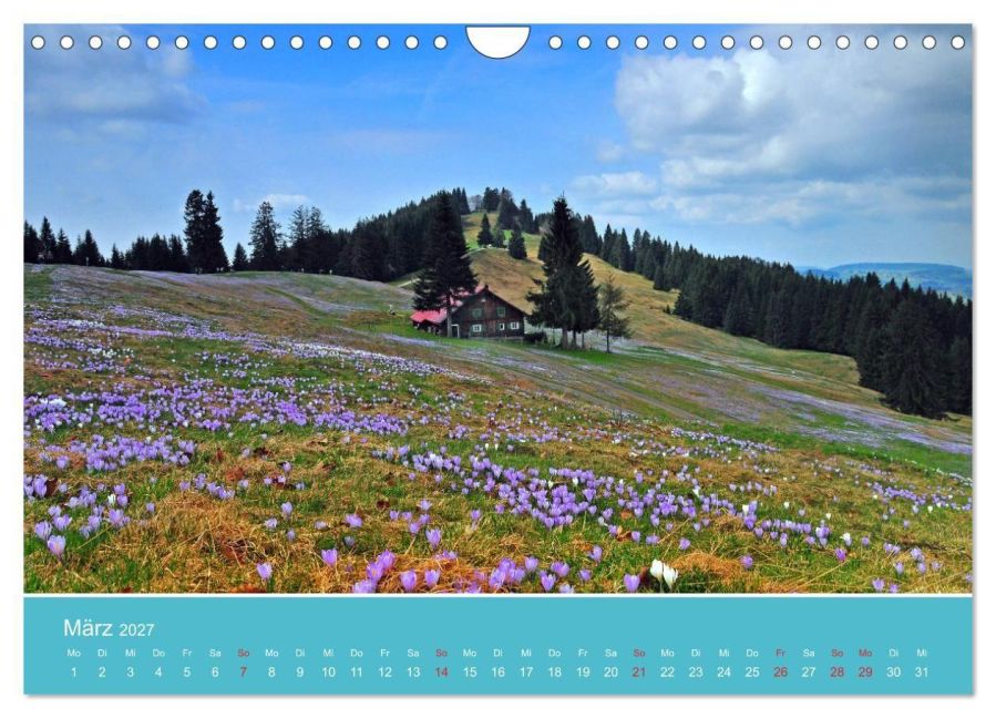 InsideView 8