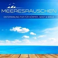 Vogelstimmen-Entspannung für - Various