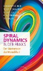 Spiral Dynamics in der Praxis