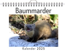 Cover-Bild zum Titel 'Baummarder' von 'Oliver Keller'