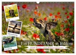 Cover-Bild zum Titel 'Ein Hundejahr in Bildern (Wandkalender 2026 DIN A3 quer), CALVENDO Monatskalender' von 'Daniel Pelz'