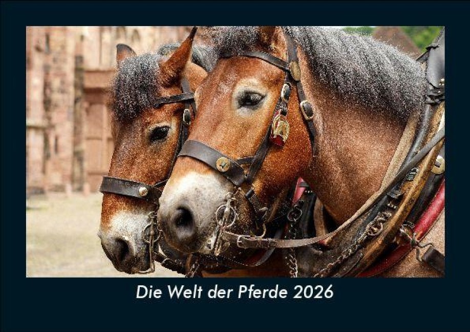 Die Welt der Pferde 2026 Fotokalender DIN A5 - Tobias Becker