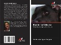Cover-Bild zum Titel 'Studio morfologico' von 'Gabriela Rodrigues Sampaio'