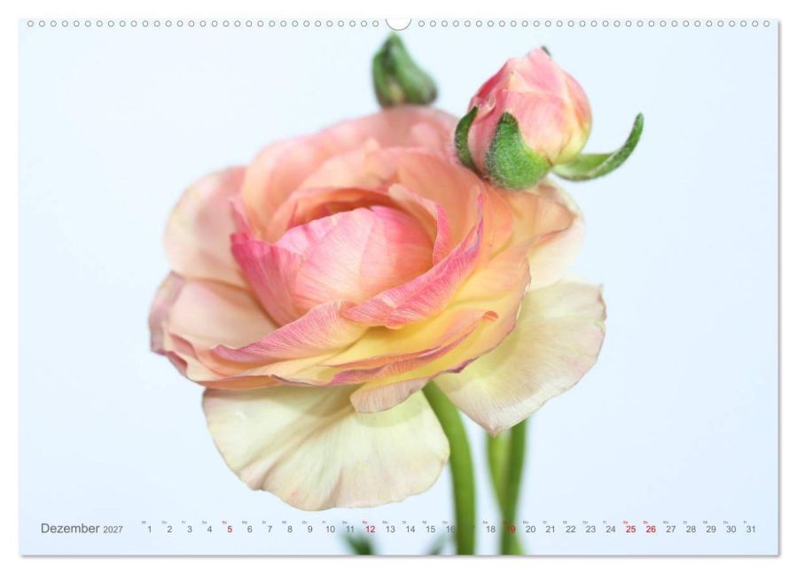 InsideView 4