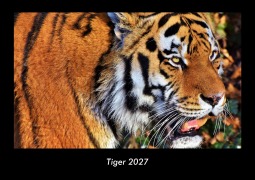 Cover-Bild zum Titel 'Tiger 2027 Fotokalender DIN A3' von 'Tobias Becker'