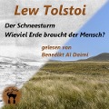 Cover-Bild zum Titel 'Der Schneesturm & Wieviel Erde braucht der Mensch?' von 'Lew Tolstoi'
