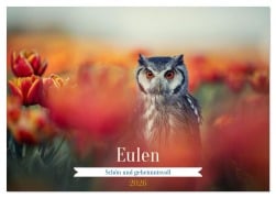 Cover-Bild zum Titel 'Eulen - schön und geheimnisvoll (Tischkalender 2026 DIN A5 quer), CALVENDO Monatskalender' von 'Tanja Brandt'