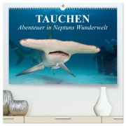 Tauchen - Abenteuer in Neptuns Wunderwelt (hochwertiger Premium Wandkalender 2026 DIN A2 quer), Kunstdruck in Hochglanz - Elisabeth Stanzer