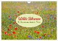 Wilde Blumen - ein Spaziergang durch die Natur (Wandkalender 2024 DIN A4 quer), CALVENDO Monatskalender - 