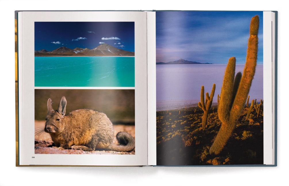 InsideView 15