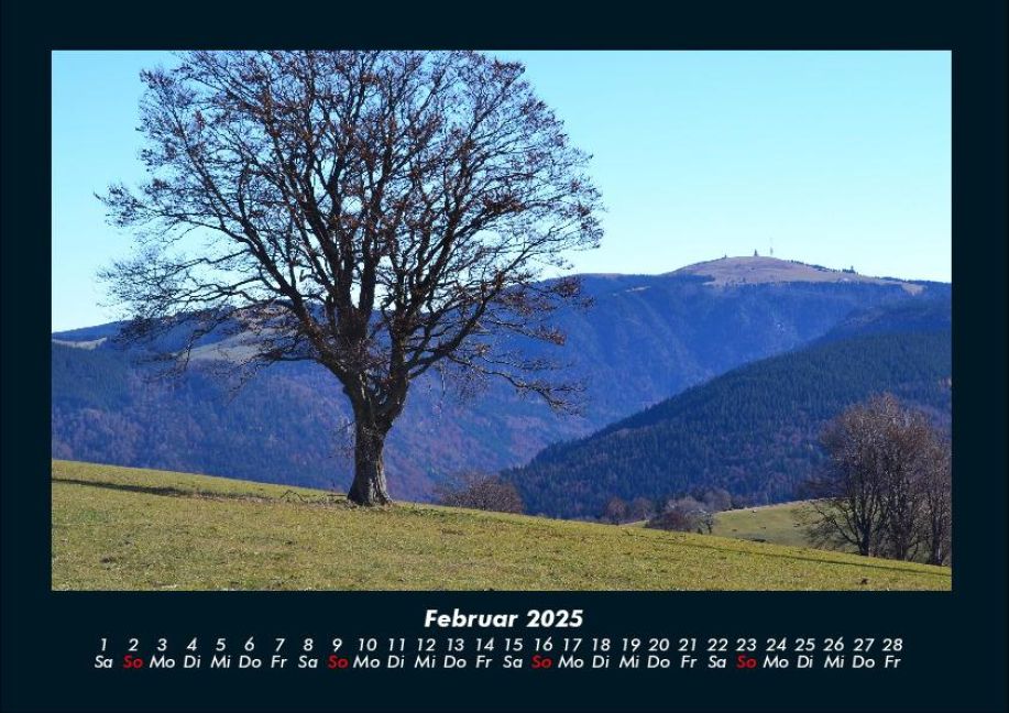 InsideView 6