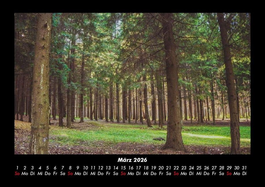 InsideView 7