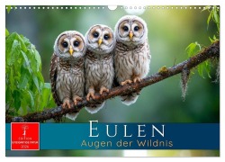 Cover-Bild zum Titel 'Eulen - Augen der Wildnis (Wandkalender 2026 DIN A3 quer), CALVENDO Monatskalender' von 'Roder Roder'