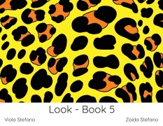 Cover-Bild zum Titel 'Look - Book 5' von 'Zaida Stefano, Viola Stefano'
