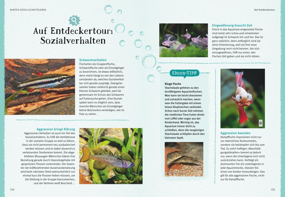 InsideView 12