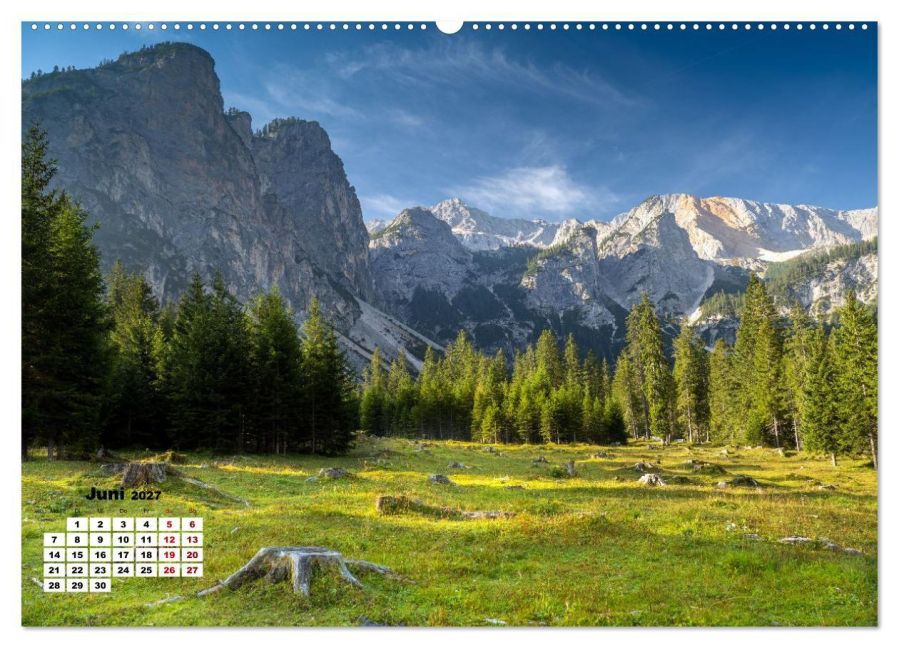 InsideView 11