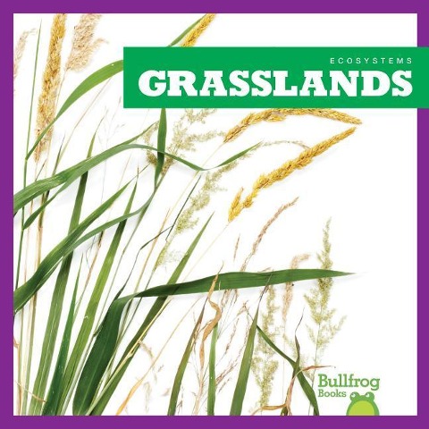 Grasslands - Nadia Higgins