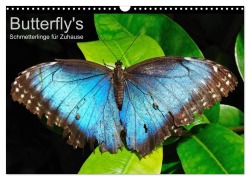 Cover-Bild zum Titel 'Butterfly's - Schmetterlinge für Zuhause (Wandkalender 2026 DIN A3 quer), CALVENDO Monatskalender' von 'Uwe Bade'