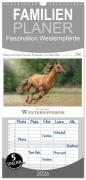 Cover-Bild zum Titel 'Familienplaner 2026 - Faszination Westernpferde mit 5 Spalten (Wandkalender, 21 x 45 cm) CALVENDO' von 'Martina Wrede - Wredefotografie'