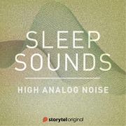 Cover-Bild zum Titel 'High Analog Noise' von 'Patricio Samuelsson'