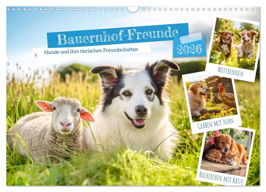 Bauernhof-Freunde - Hunde und ihre tierischen Freundschaften (Wandkalender 2026 DIN A3 quer), CALVENDO Monatskalender - Anja Frost