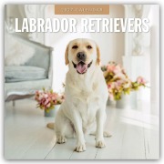 Cover-Bild zum Titel 'Labrador Retrievers - Labrador Retriever 2027 - 16-Monatskalender' von 'Robin Red'