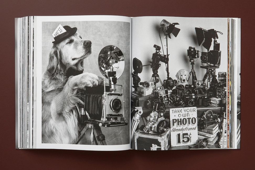 InsideView 15
