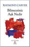 Bilmezsiniz Ask Nedir - Raymond Carver