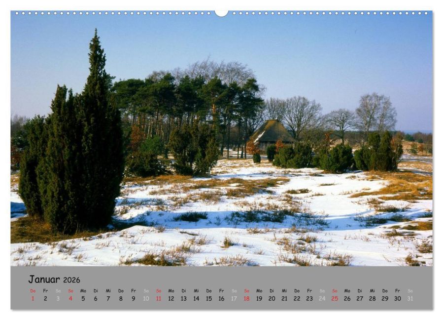 InsideView 6