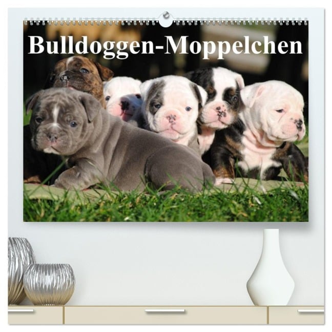Bulldoggen-Moppelchen (hochwertiger Premium Wandkalender 2026 DIN A2 quer), Kunstdruck in Hochglanz - Elisabeth Stanzer