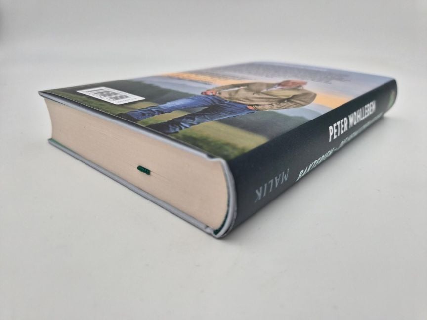 InsideView 5