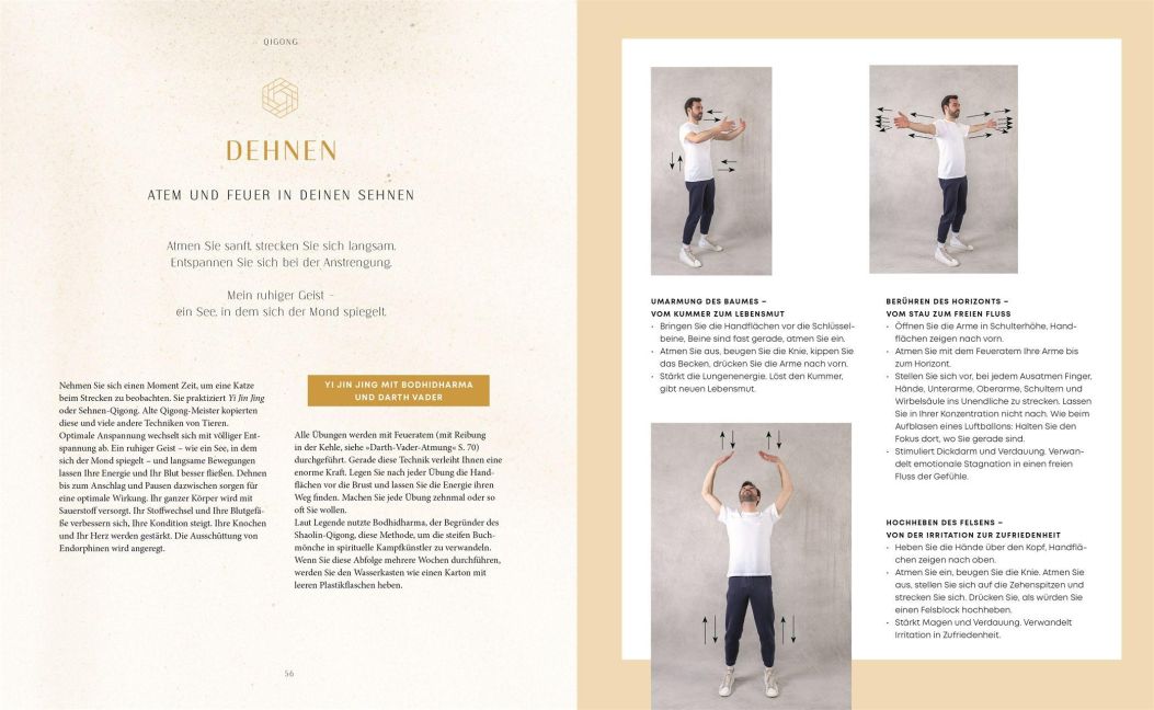 InsideView 5