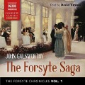 Cover-Bild zum Titel 'The Forsyte Chronicles, Vol. 1: The Forsyte Saga Lib/E' von 'John Galsworthy'
