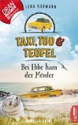 Cover-Bild zum Titel 'Taxi, Tod und Teufel - Bei Ebbe kam der Mörder' von 'Lena Karmann'