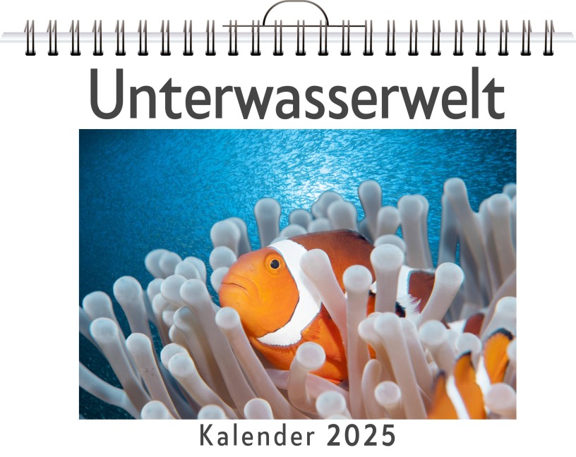 Unterwasserwelt - (Wandkalender 2025, Kalender DIN A4 quer, Monatskalender im Querformat mit Kalendarium, das perfekte Geschenk) - Ben Becker