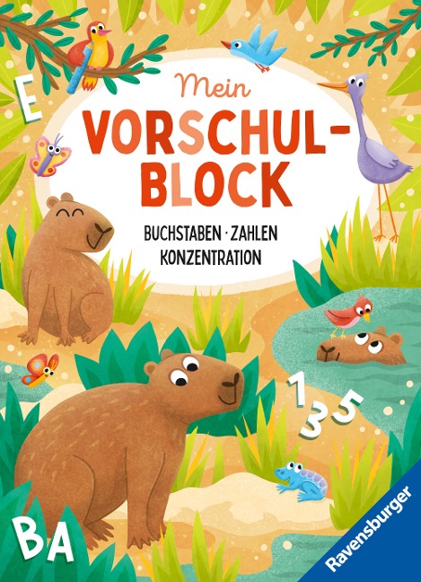 Mein Vorschulblock: Buchstaben, Zahlen, Konzentration - Anja Lohr, Britta Zimmermann, Christine Pätz