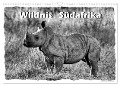 Wildnis Südafrika (Wandkalender 2024 DIN A3 quer), CALVENDO Monatskalender - Guido Wulf