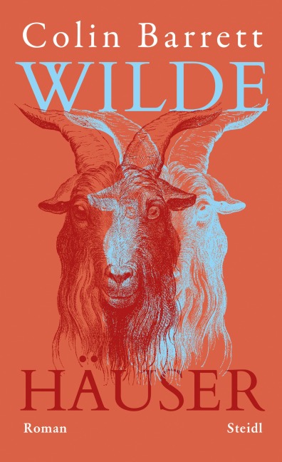 Wilde Häuser - Colin Barrett