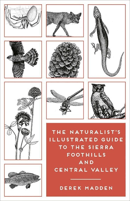 The Naturalist's Illustrated Guide to the Sierra Foothills and Central Valley - Derek Madden, Ken Charters, Erinn Madden