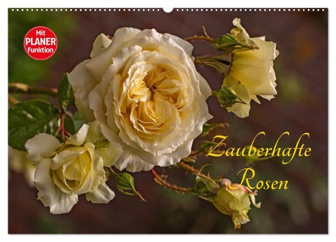 Zauberhafte Rosen (Wandkalender 2024 DIN A2 quer), CALVENDO Monatskalender - Andrea Potratz