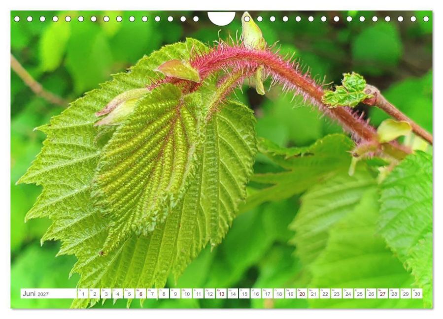 InsideView 11