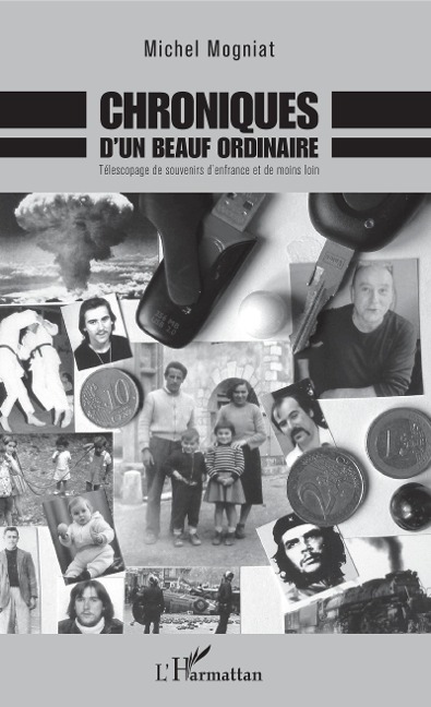 Chroniques d'un beauf ordinaire - Michel Mogniat